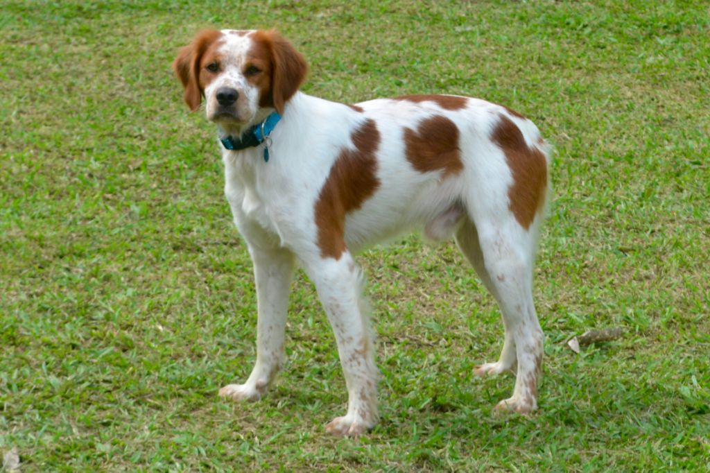 Ulson Du Grand Etricher