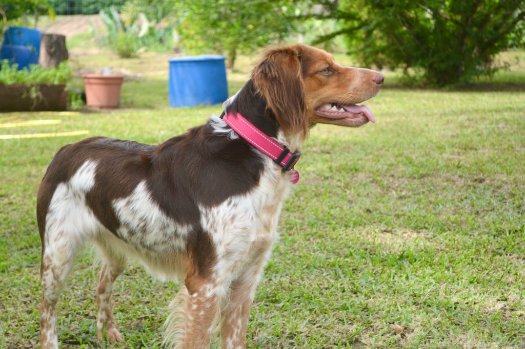 Vénus des bords de la méditerrannée